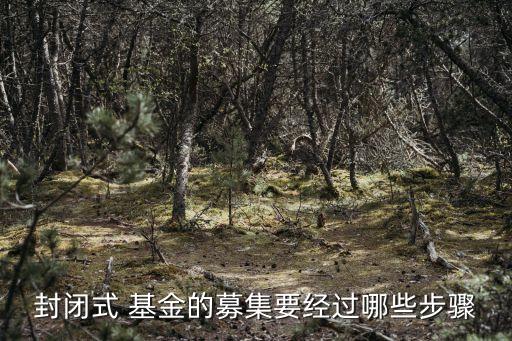 封閉式 基金的募集要經(jīng)過哪些步驟
