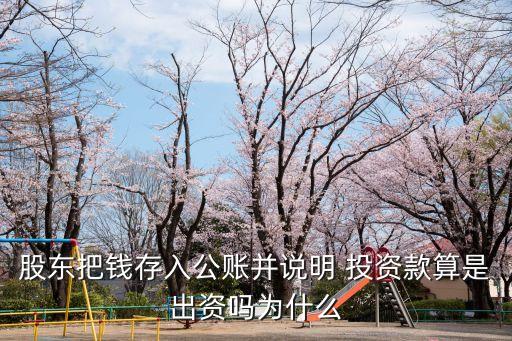 股東把錢存入公賬并說(shuō)明 投資款算是出資嗎為什么
