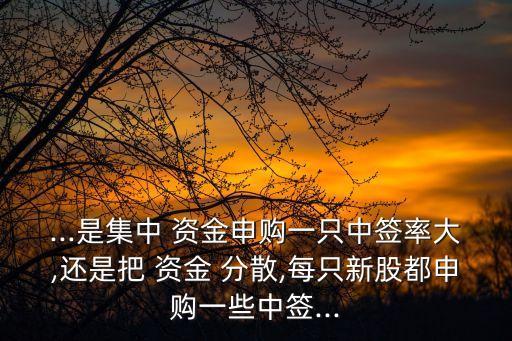 ...是集中 資金申購(gòu)一只中簽率大,還是把 資金 分散,每只新股都申購(gòu)一些中簽...