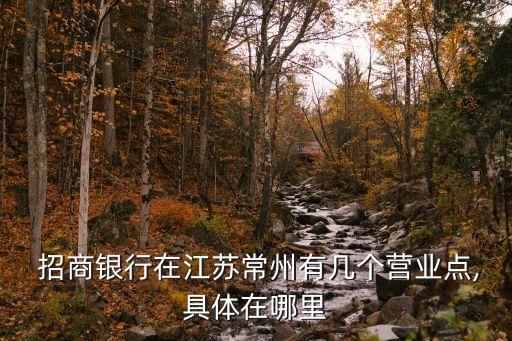  招商銀行在江蘇常州有幾個營業(yè)點,具體在哪里