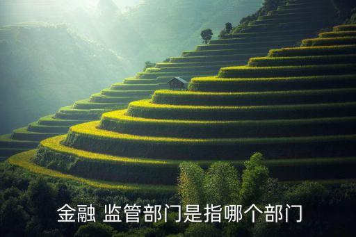  金融 監(jiān)管部門(mén)是指哪個(gè)部門(mén)