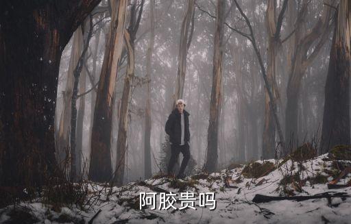 東阿阿膠集團(tuán)年報