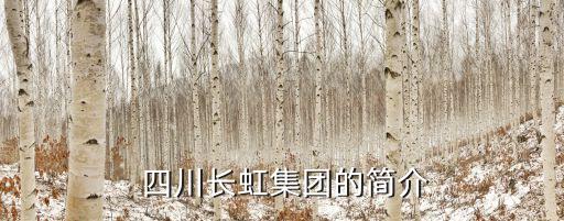  四川長(zhǎng)虹集團(tuán)的簡(jiǎn)介