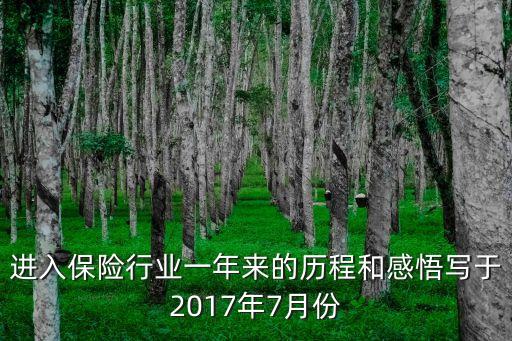 進入保險行業(yè)一年來的歷程和感悟寫于2017年7月份