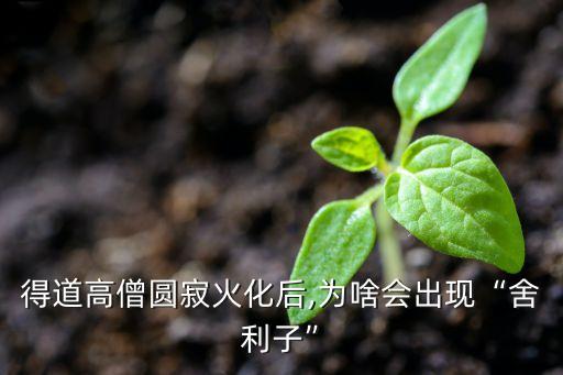 得道高僧圓寂火化后,為啥會(huì)出現(xiàn)“舍利子”