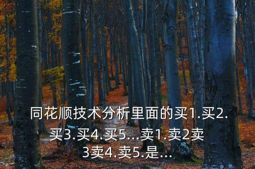  同花順技術分析里面的買1.買2.買3.買4.買5...賣1.賣2賣3賣4.賣5.是...