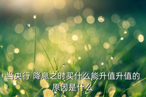 當央行 降息之時買什么能升值升值的原因是什么