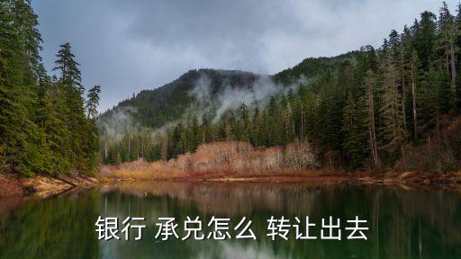 銀行承兌匯票轉(zhuǎn)讓協(xié)議書