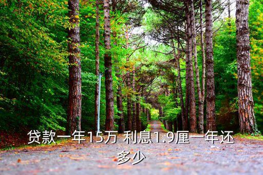 貸款一年15萬 利息1.9厘一年還多少