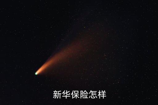  新華保險(xiǎn)怎樣