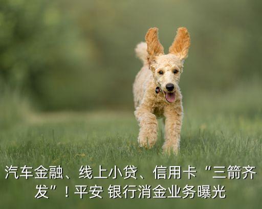 汽車金融、線上小貸、信用卡“三箭齊發(fā)”! 平安 銀行消金業(yè)務(wù)曝光