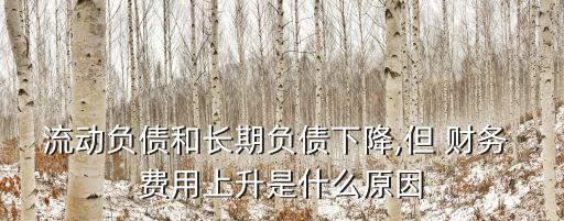 流動(dòng)負(fù)債和長(zhǎng)期負(fù)債下降,但 財(cái)務(wù) 費(fèi)用上升是什么原因