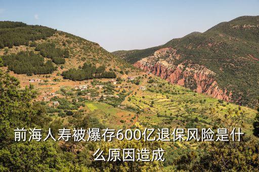 前海人壽被爆存600億退保風(fēng)險(xiǎn)是什么原因造成