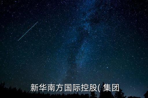  新華南方國際控股( 集團(tuán)