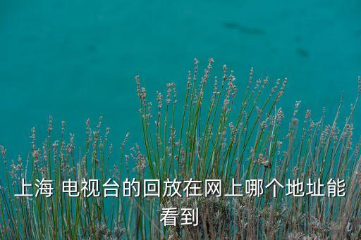 上海浦東電視臺(tái)操盤(pán)面對(duì)面