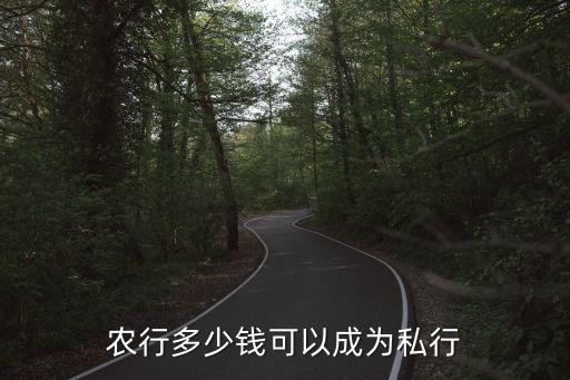 農(nóng)業(yè)銀行私人銀行標(biāo)準(zhǔn)