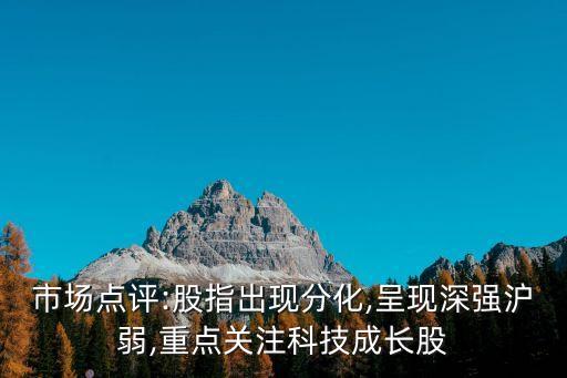 市場(chǎng)點(diǎn)評(píng):股指出現(xiàn)分化,呈現(xiàn)深強(qiáng)滬弱,重點(diǎn)關(guān)注科技成長(zhǎng)股