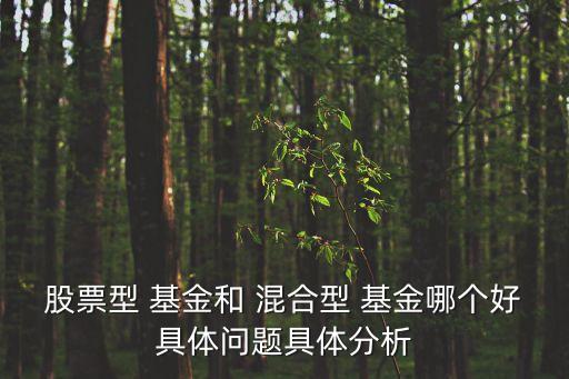 股票型 基金和 混合型 基金哪個好具體問題具體分析