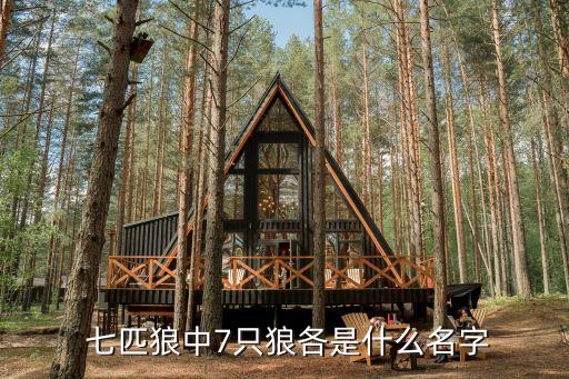 北京七匹狼網點,七匹狼男裝北京專賣店