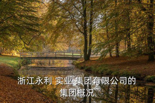  浙江永利 實業(yè) 集團有限公司的 集團概況
