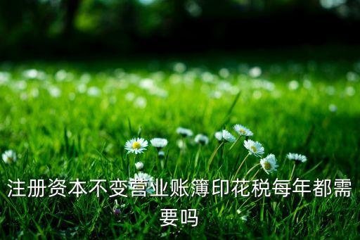 注冊資本不變營業(yè)賬簿印花稅每年都需要嗎