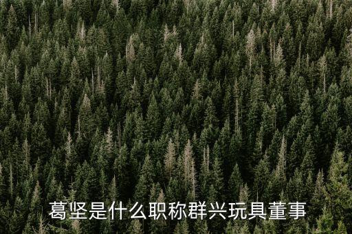 中基集團(tuán)董事長(zhǎng)葛堅(jiān),葛堅(jiān)中基控股集團(tuán)董事長(zhǎng)