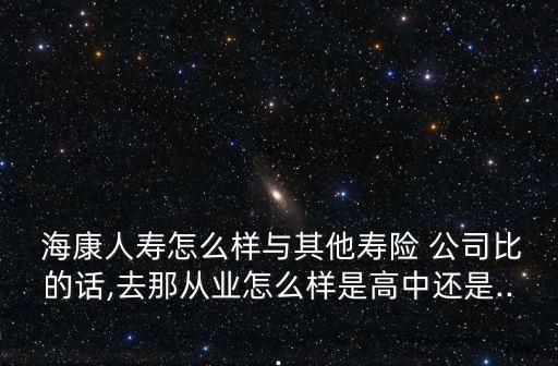 ?？等藟郾ｋU(xiǎn)公司2012年報(bào)表