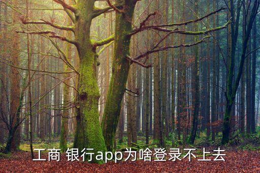 工行手機銀行登陸