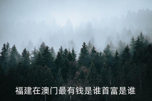 國脈科技股份有限公司董事長,福建國脈科技股份有限公司