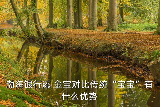 添金寶對應(yīng)的基金