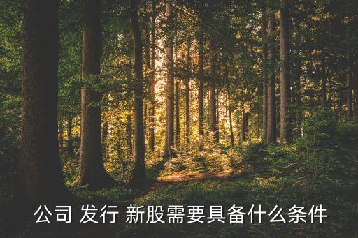 公司公開(kāi)發(fā)行新股,上市公司公開(kāi)發(fā)行新股