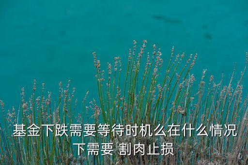  基金下跌需要等待時(shí)機(jī)么在什么情況下需要 割肉止損