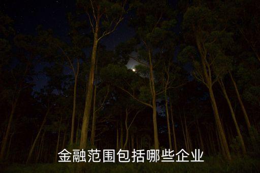 金融控股公司經(jīng)營范圍,控股公司營業(yè)執(zhí)照經(jīng)營范圍