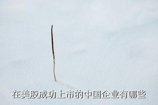在美股成功上市的中國企業(yè)有哪些