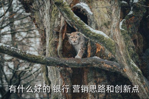 有什么好的 銀行 營銷思路和創(chuàng)新點