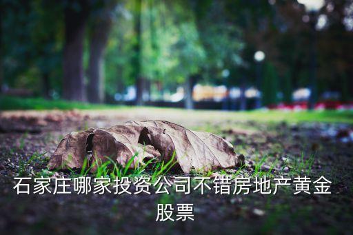 石家莊哪家投資公司不錯房地產(chǎn)黃金 股票