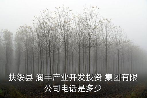 扶綏縣 潤豐產(chǎn)業(yè)開發(fā)投資 集團(tuán)有限公司電話是多少