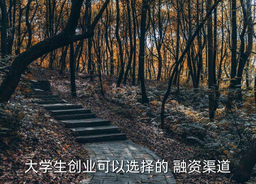 大學(xué)生創(chuàng)業(yè)可以選擇的 融資渠道