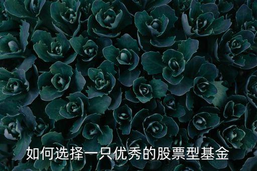博時(shí)穩(wěn)定價(jià)值債券投資基金b類份額,博時(shí)信用債券投資基金