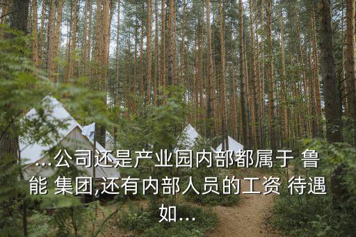 ...公司還是產(chǎn)業(yè)園內(nèi)部都屬于 魯能 集團(tuán),還有內(nèi)部人員的工資 待遇如...