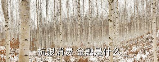 杭銀消費(fèi) 金融是什么