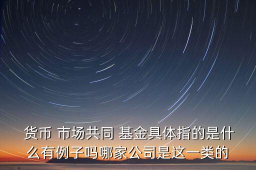  貨幣 市場(chǎng)共同 基金具體指的是什么有例子嗎哪家公司是這一類的
