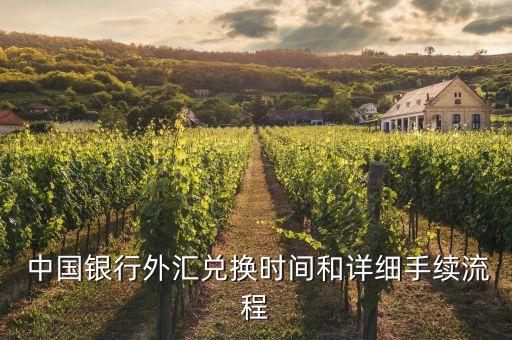  中國(guó)銀行外匯兌換時(shí)間和詳細(xì)手續(xù)流程