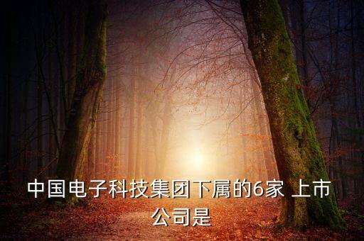中國電子科技集團(tuán)下屬的6家 上市 公司是