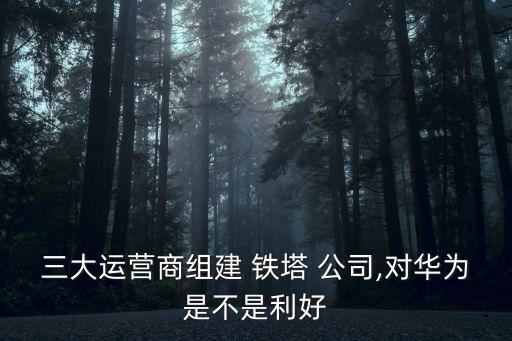 鐵塔公司成立尚冰講話