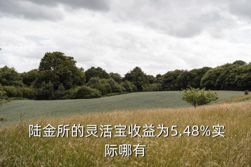  陸金所的靈活寶收益為5.48%實(shí)際哪有