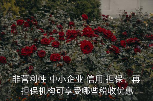 非營利性 中小企業(yè) 信用 擔保、再 擔保機構可享受哪些稅收優(yōu)惠