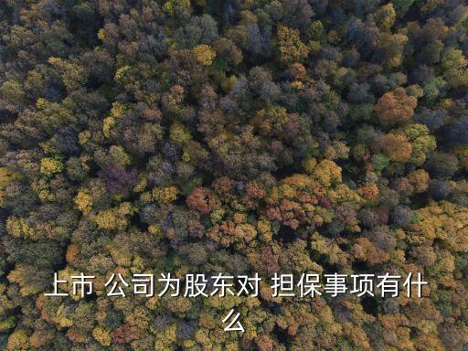 上市公司的擔保