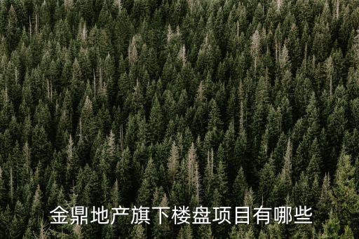  金鼎地產旗下樓盤項目有哪些