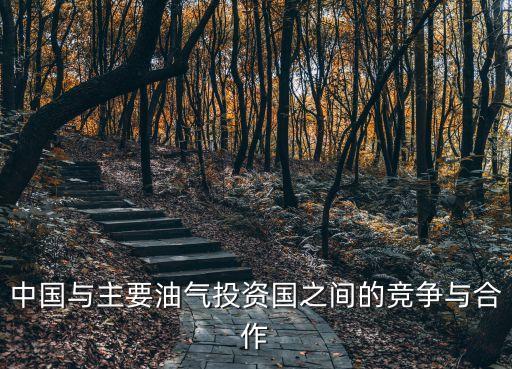 中國與主要油氣投資國之間的競爭與合作
